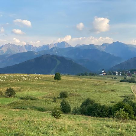 Apartament Pod Wierchem Zakopane Kültér fotó