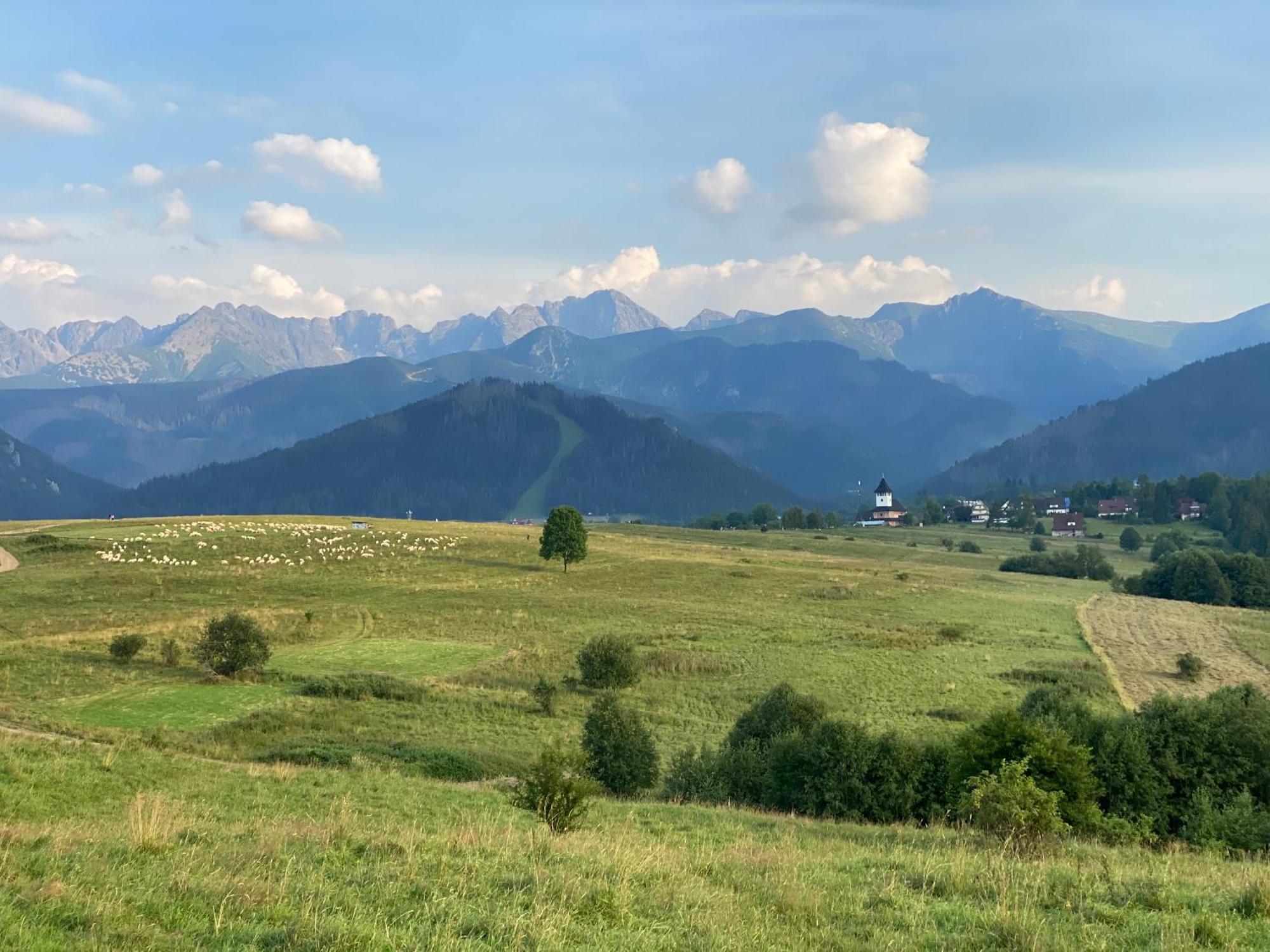 Apartament Pod Wierchem Zakopane Kültér fotó