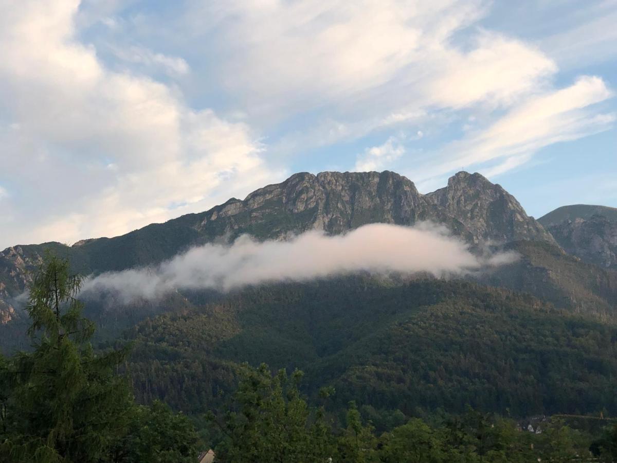 Apartament Pod Wierchem Zakopane Kültér fotó